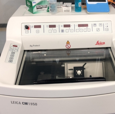 Leica CM1950臨床冷凍切片機(jī).jpg