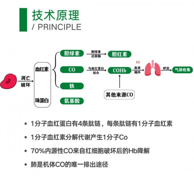 RBCS-03型紅細(xì)胞壽命測定呼氣試驗(yàn)儀介紹